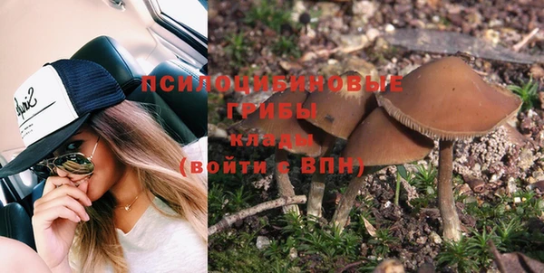 СК Горнозаводск