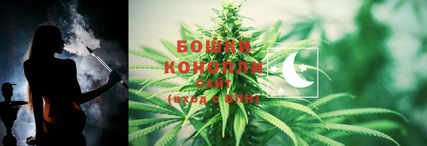 СК Горнозаводск