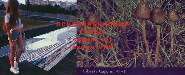 СК Горнозаводск