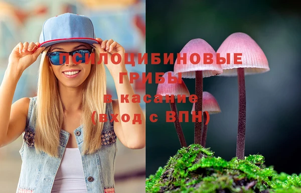 первитин Горняк